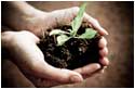 Building Sustainable Value