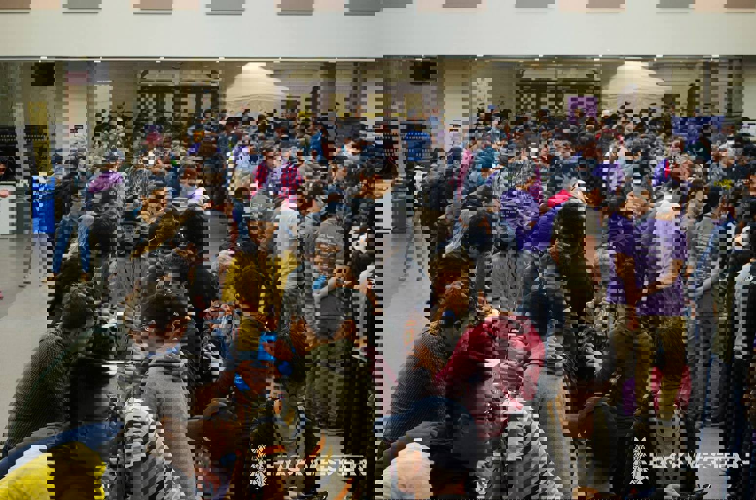 crowd