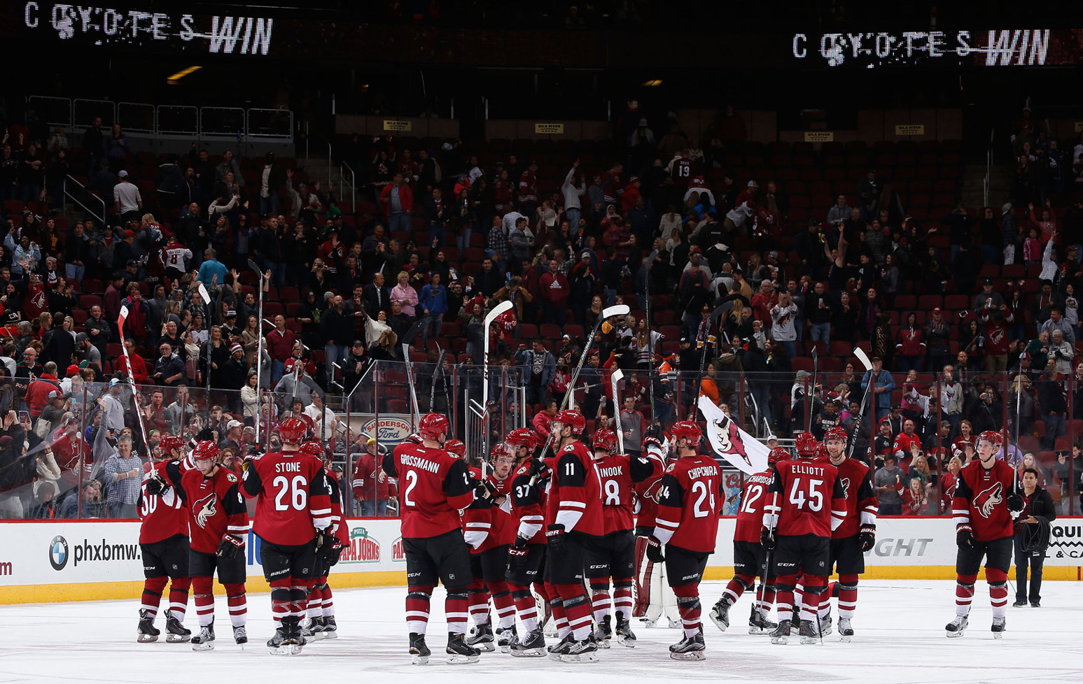 Coyotes.jpg