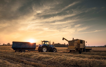 Applying MBA skills on the farm