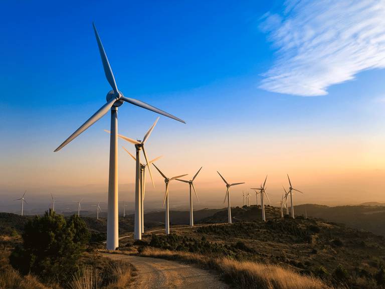 Wind Turbines In A Field