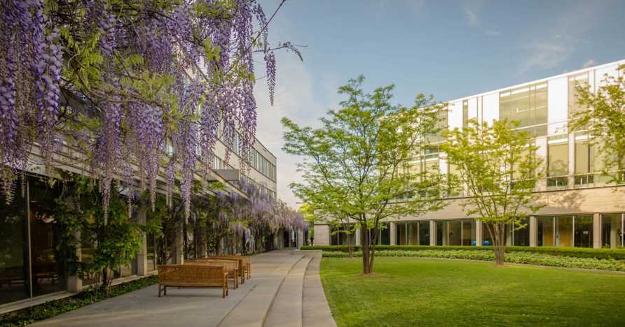 Brent Lyons- Schulich School of Business, York University