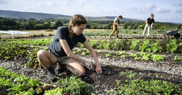 Regenerative agriculture: transforming farming toward sustainability